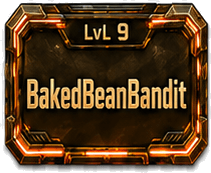 Level 9 — BakedBeanBandit